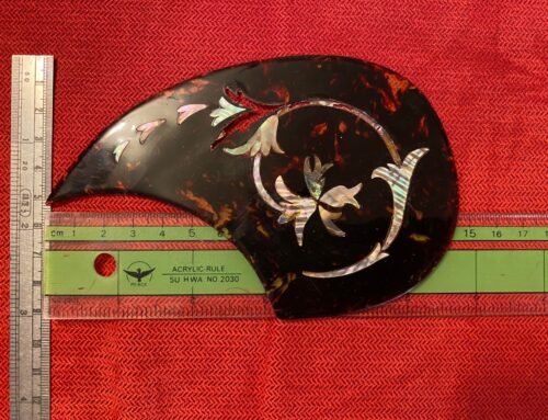 【開箱】Santa Cruz Pickguard