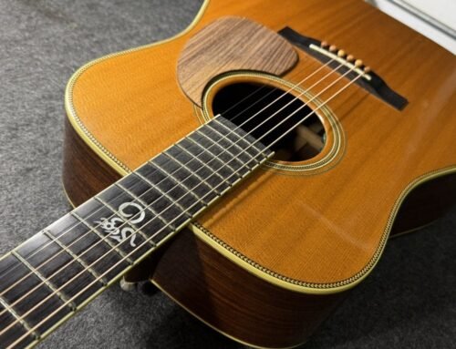 【維修札記 #21】Santa Cruz / Tony Rice D / Neck Reset