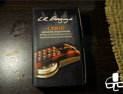 【Santa Cruz】{安裝L.R Baggs LYRIC} Santa Cruz OM