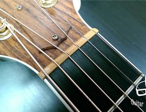 【Taylor】{更換駱駝骨上枕}{鍍金弦鈕保養} Taylor 815ce